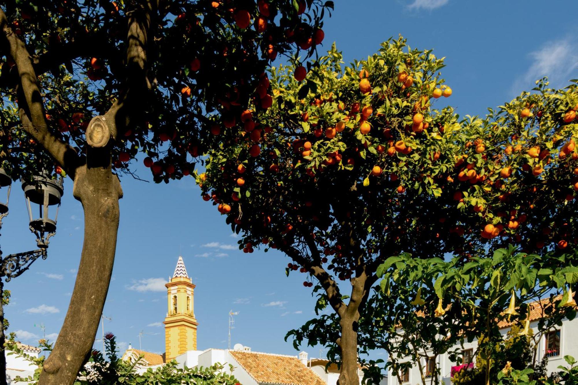 Casa Del Patio - Boutique Apartments (Adults Only) Estepona Exterior photo